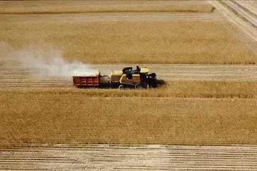 Tarımda Üretici Fiyatları 3 Ayın En Yüksek Artışını Kaydetti