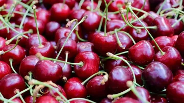 Tarım ÜFE’de Rekor Artış: Kiraz Fiyatları Üretici ve Tüketiciyi Zorluyor