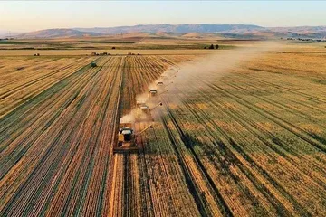 5 Soruda Tarıma Yönelik Hazine Destekli Yatırım ve İşletme Kredileri