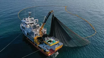 Karadeniz’den Su Ürünleri İhracatı Ocakta Yüzde 46 Arttı