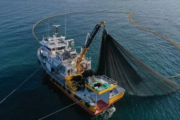 Karadeniz’den Su Ürünleri İhracatı Ocakta Yüzde 46 Arttı