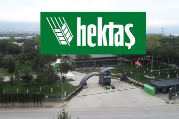 Hektaş 2024 4. Çeyrek Bilanço Açıklandı