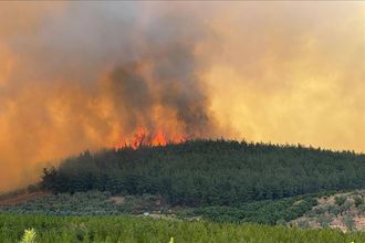 Bursa'da Orman Yangını: Ekipler Havadan ve Karadan Müdahale Ediyor