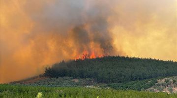 Bursa'da Orman Yangını: Ekipler Havadan ve Karadan Müdahale Ediyor