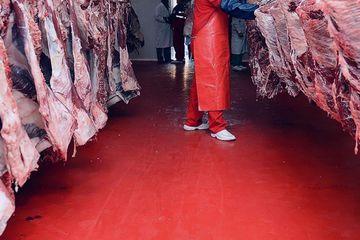 Köklü Et Firmasının Konkordato Talebi Reddedildi