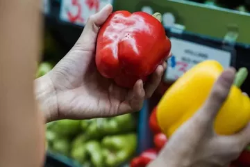 Türkiye, En Çok Pestisit Bildirimi Alan İkinci Ülke Oldu
