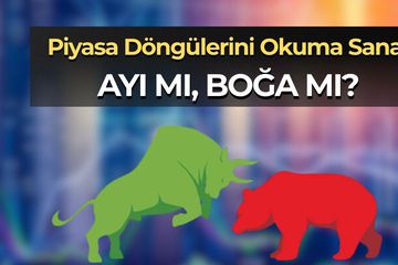 Ayı ve Boğa Piyasası Nedir? Trendleri Okuma ve Yatırım Stratejileri
