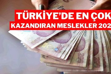 Türkiye'de En Çok Kazandıran Meslek Açıklandı: Aylık Net 456 Bin Lira Gelir