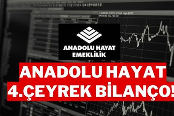 Anadolu Hayat 4. Çeyrek Bilanço Sonuçları Açıklandı