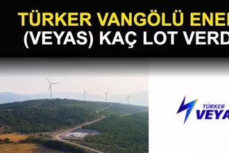 Türker Vangölü Enerji (VEYAS) Kaç Lot Verdi? Halka Arz Sonuçları Açıklandı