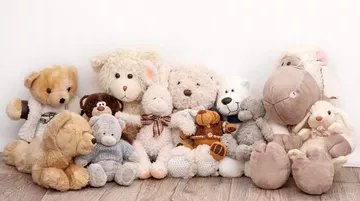 Sağlık Riski Taşıyan Peluş Oyuncak Piyasadan Toplatılıyor