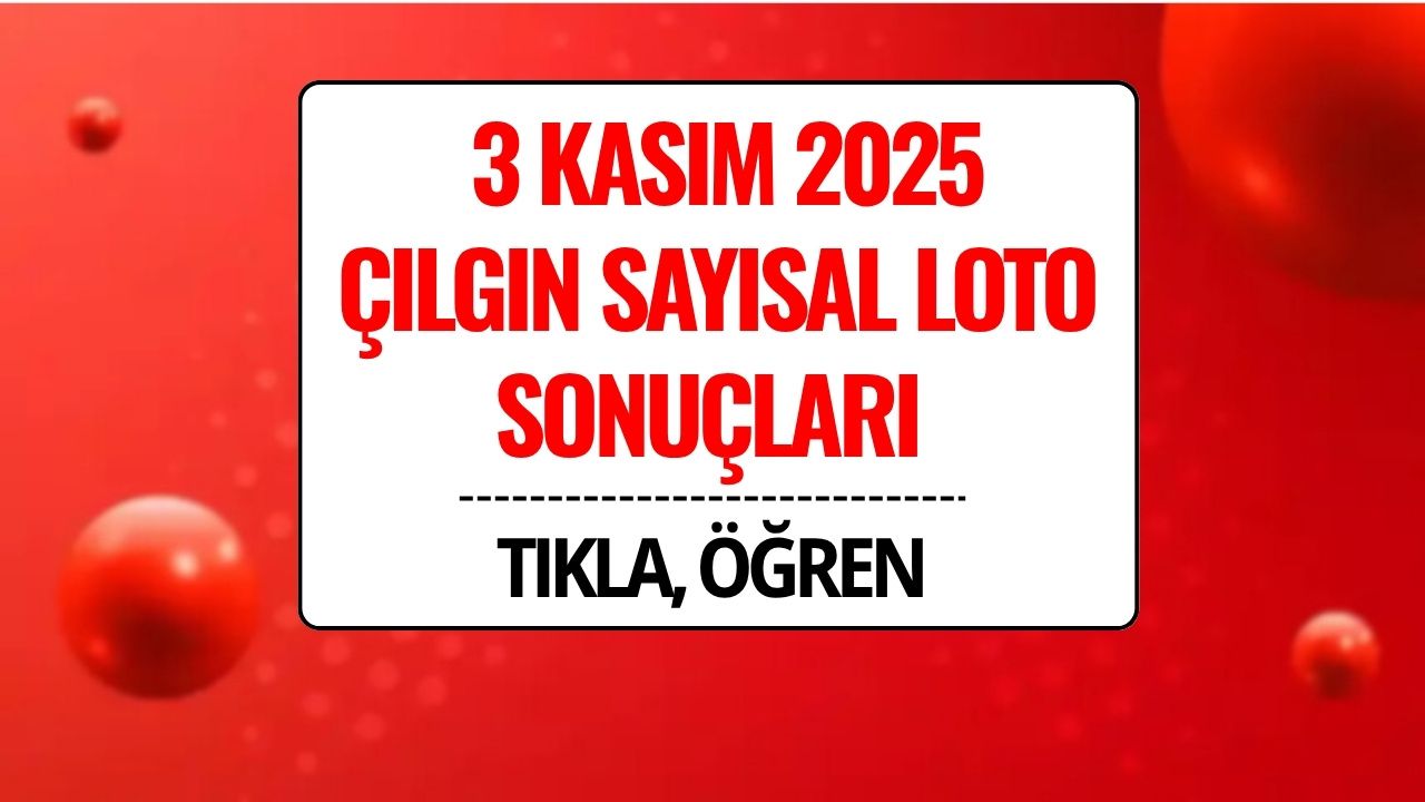 3 Kasım 2025 Çılgın Sayısal Loto Sonuçları Açıklandı: 313 Milyon TL Devretti!