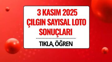 3 Kasım 2025 Çılgın Sayısal Loto Sonuçları Açıklandı: 313 Milyon TL Devretti!