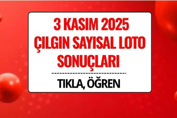 3 Kasım 2025 Çılgın Sayısal Loto Sonuçları Açıklandı: 313 Milyon TL Devretti!