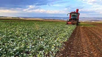 Çiftçilere 8,7 Milyar Lira Destek Ödemesi Bugün Yapılacak