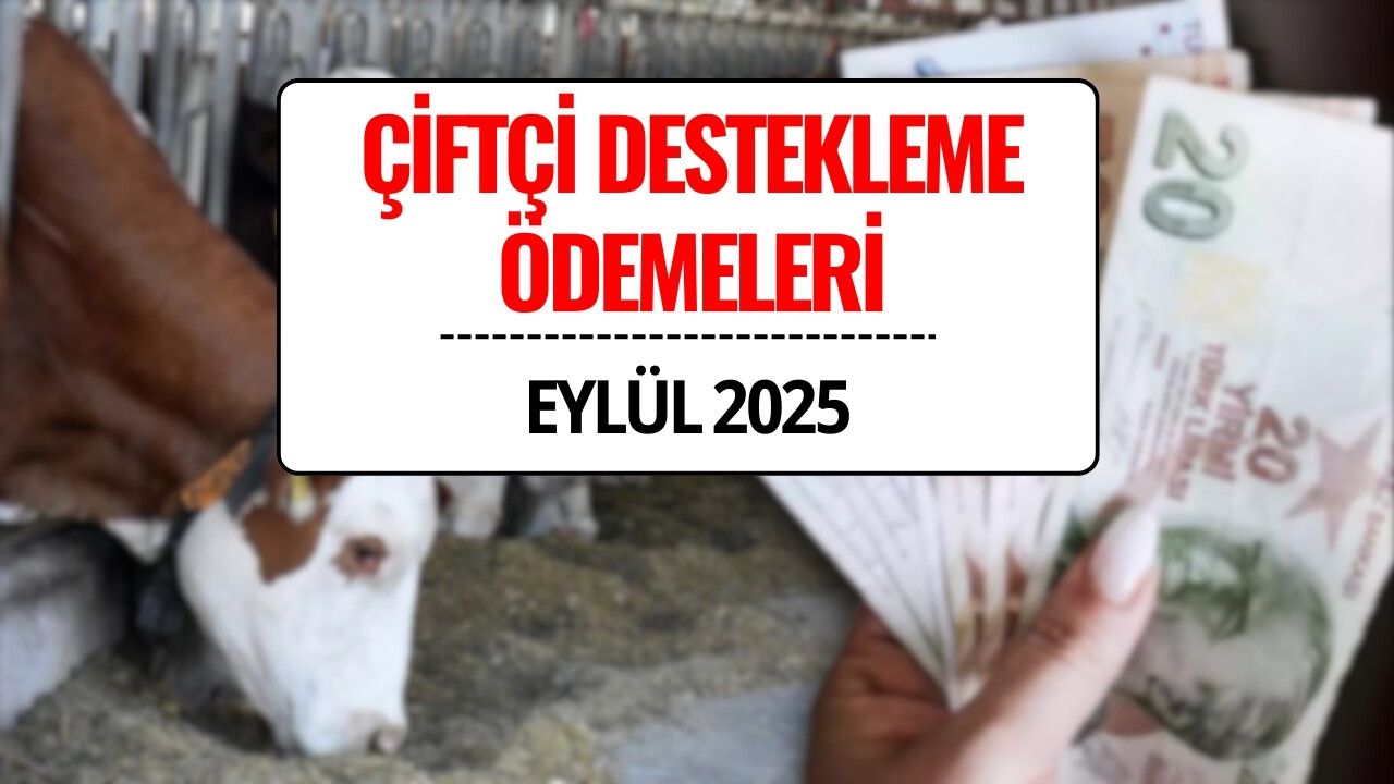 Çiftçi Destek Ödemesi Eylül 2025: Büyükbaş Hayvancılık ve Süt Desteği Ödemeleri Ne Zaman Yatacak?
