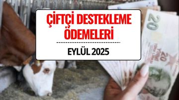 Çiftçi Destek Ödemesi Eylül 2025: Büyükbaş Hayvancılık ve Süt Desteği Ödemeleri Ne Zaman Yatacak?