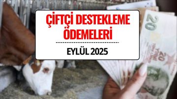 Çiftçi Destek Ödemesi Eylül 2025: Büyükbaş Hayvancılık ve Süt Desteği Ödemeleri Ne Zaman Yatacak?