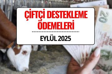 Çiftçi Destek Ödemesi Eylül 2025: Büyükbaş Hayvancılık ve Süt Desteği Ödemeleri Ne Zaman Yatacak?