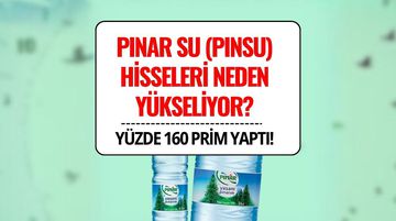 Pınar Su (PINSU) Hissesi Neden Yükseliyor? Son İki Ayda Yüzde 160 Prim
