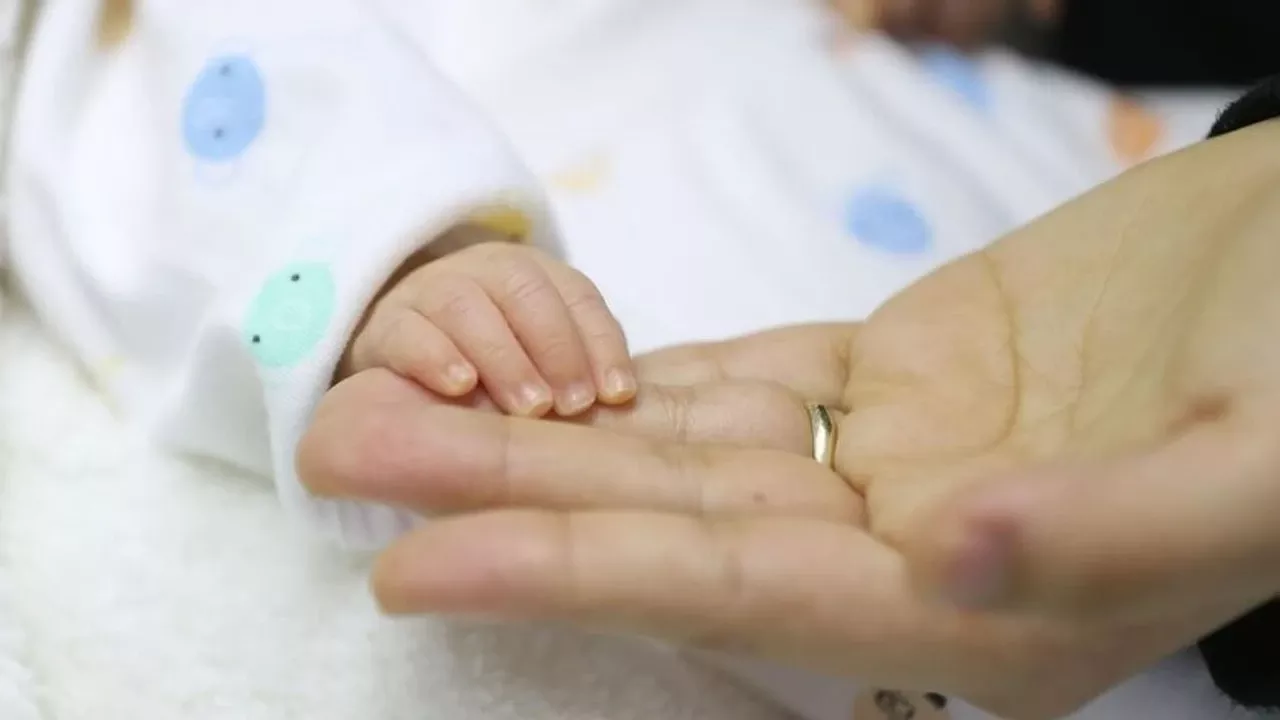 Türkiye’de Doğurganlık Hızının En Yüksek ve En Düşük Olduğu İller Açıklandı