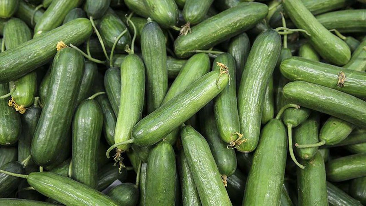 İstanbul’da Zam Şampiyonu Salatalık Oldu