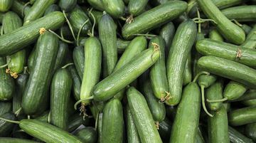 İstanbul’da Zam Şampiyonu Salatalık Oldu