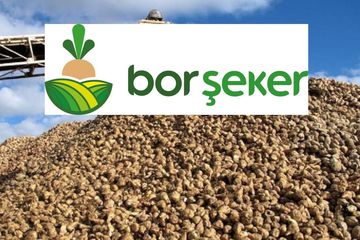 Bor Şeker, Adapazarı Şeker Fabrikası İçin Ön Protokol İmzaladı