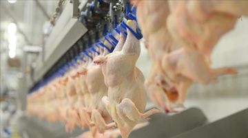 Beyaz Et Sektörüne Operasyon! 13 Şirkete Denetim Kayyumu Atandı