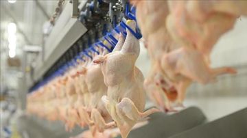 Beyaz Et Sektörüne Operasyon! 13 Şirkete Denetim Kayyumu Atandı