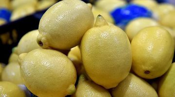 Bakanlık Limon İhracatını Durdurdu